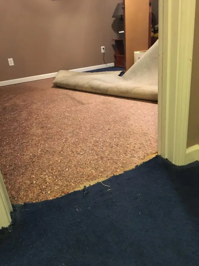 Carpet pad removal revealing water damage during Water Mitigation Services in Tonawanda
