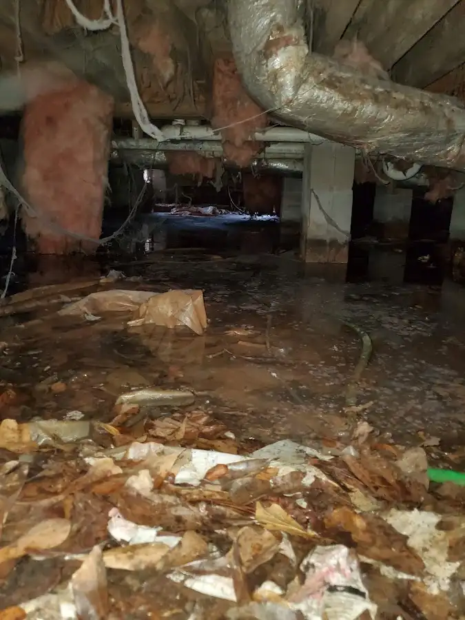 Crawl space flood assessment for Leak Detection & Repair in Tonawanda