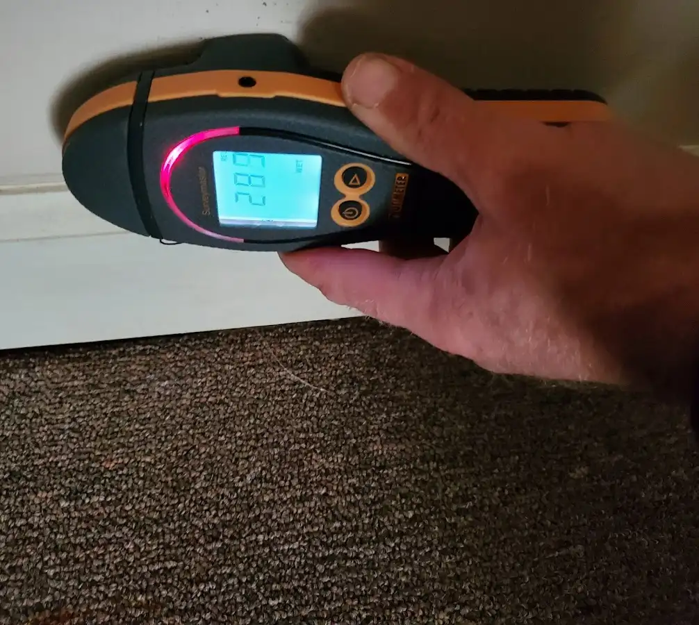 Moisture detection at baseboard during Burst Pipe Cleanup in Tonawanda